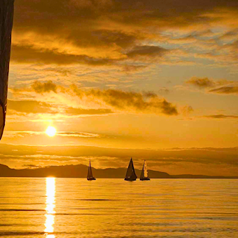 Årsmøte 2024 ble avholdt onsdag 14. februar.